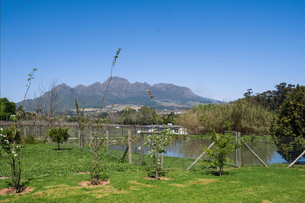 Sunset Farm Stellenbosch Villa Екстериор снимка